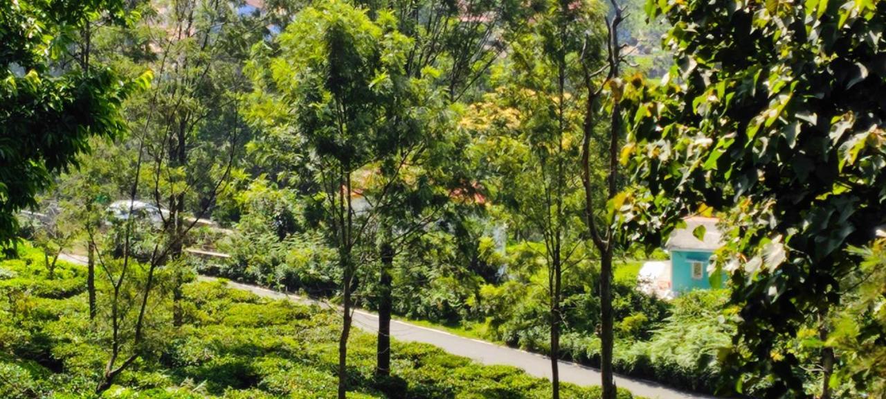 Adithya Sunrise View Cottage Kotagiri Kültér fotó